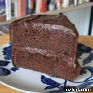 Delicious Chocolate Butter Cake
