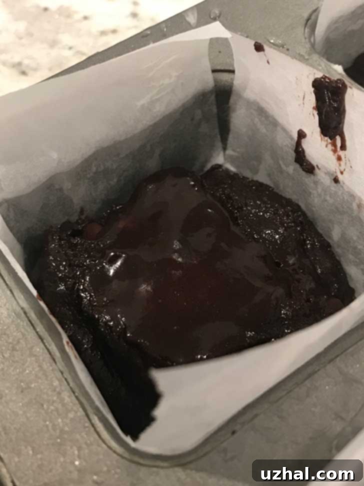 Perfectly baked mini chewy brownies with smooth sides, ready to be served from a mini brownie pan.