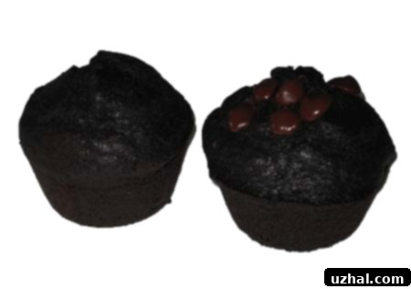 King Arthur Double Chocolate Muffins - a perfect breakfast or snack