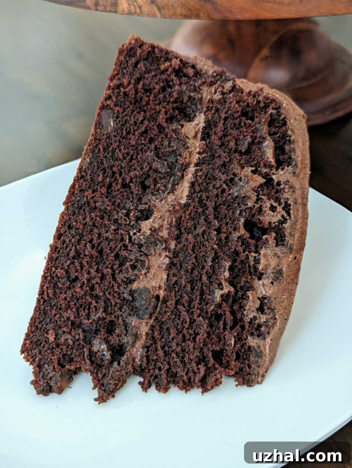 Moist Vegan Chocolate Cake