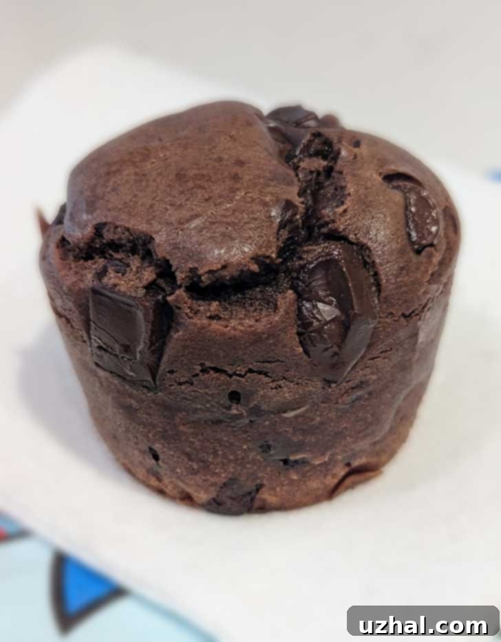 Chocolate Muffins