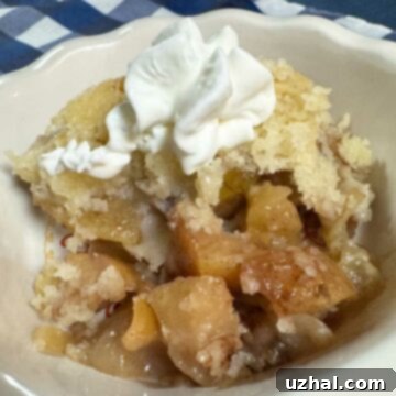 North Carolina Apple Sonker serving.