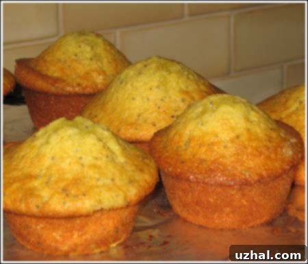 old version of lemon muffins with pudding, made with cake flour