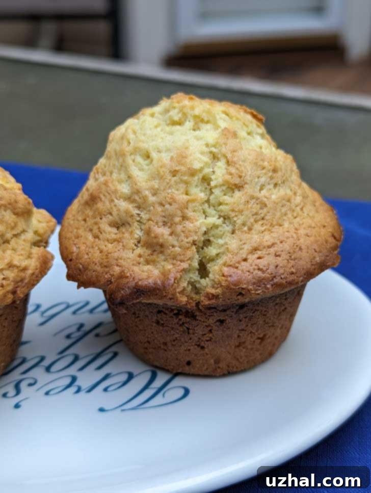 lemon muffins made with cook and serve pudding mix and olive oil