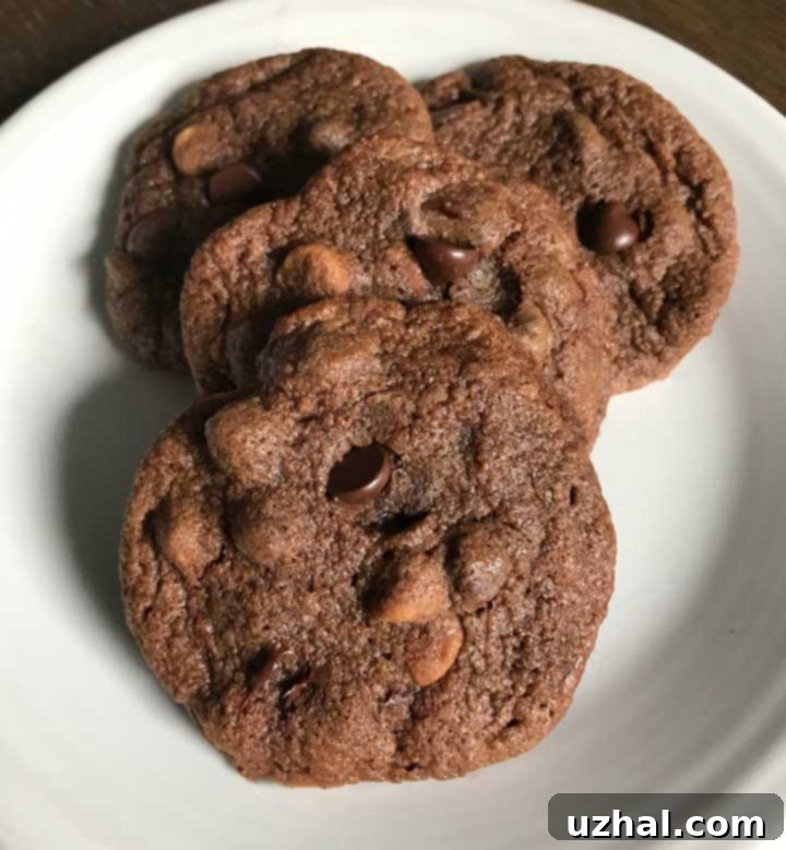 White Whole Wheat Double Chocolate Cookies, a healthier and chewy dessert option that tastes incredible