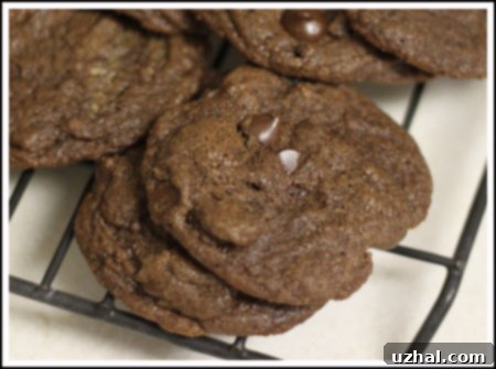 Perfectly baked White Whole Wheat Double Chocolate Cookies with melted chocolate chips