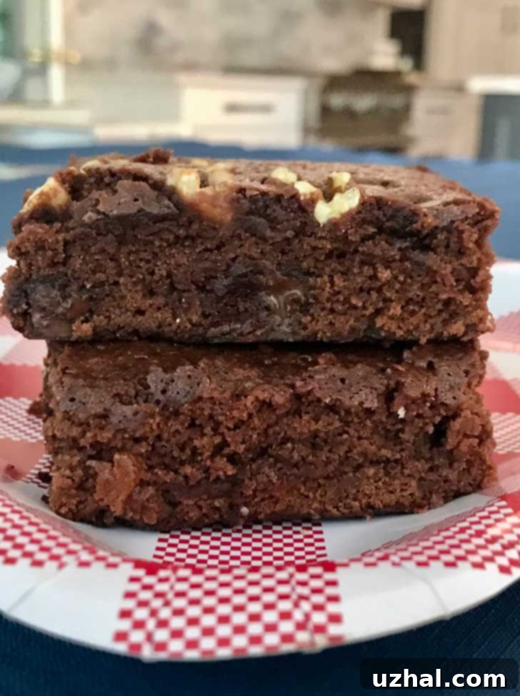 Honey Bear Brownies Recipe from Hershey's Tin - A timeless classic.