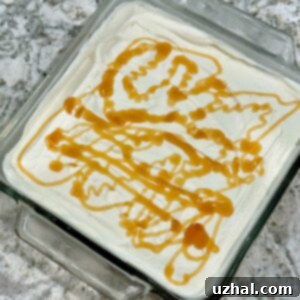 Tres Leches Cake in an 8-inch pan.