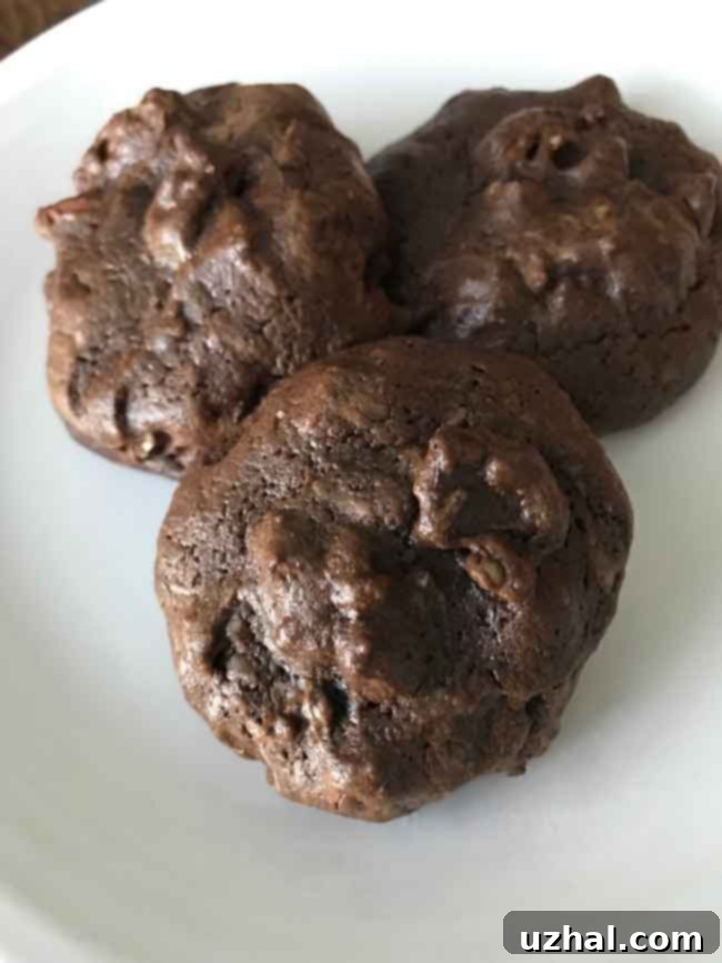 Brownie Cookies