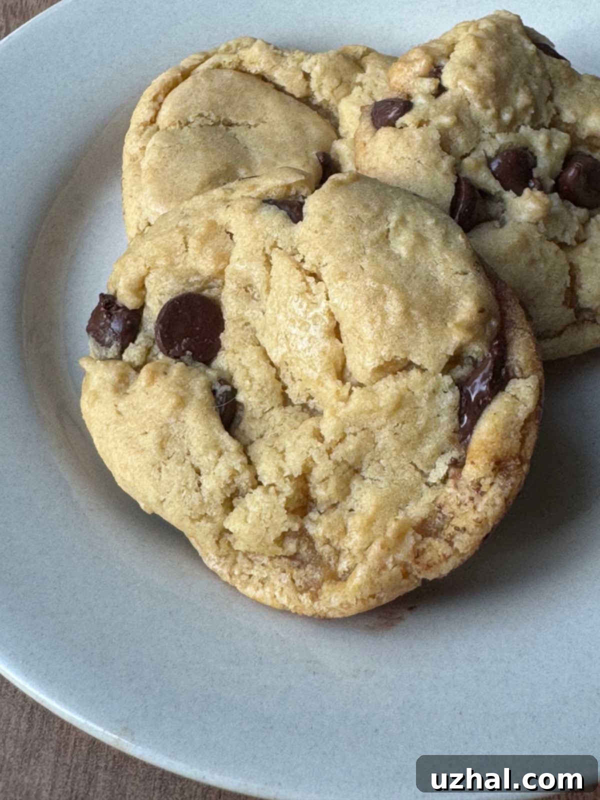Homestyle Vegan Chocolate Chip Cookies from Vive le Vegan, showcasing their golden brown perfection.