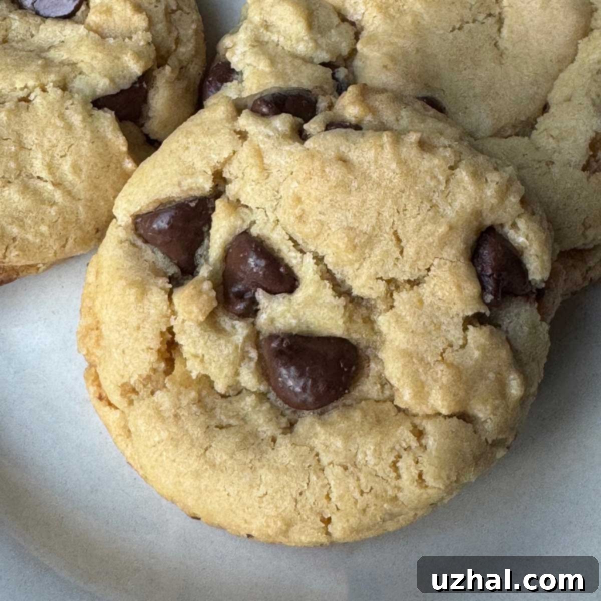 Close-up of a stack of Vegan chocolate chip cookies from Dreena Burton's Vive le Vegan, showing the melted chocolate chips.