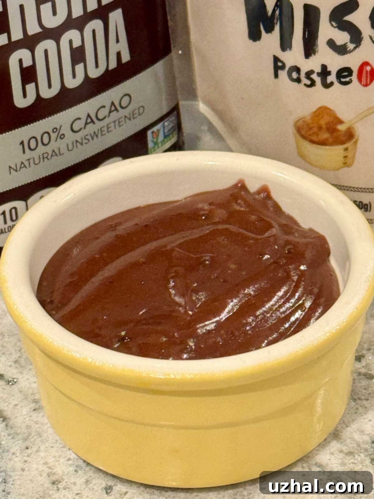 Miso Chocolate Pudding