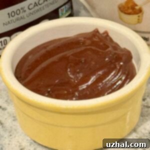 Miso Chocolate Pudding