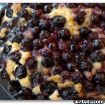 Artist Point Berry Cobbler with assorted berries