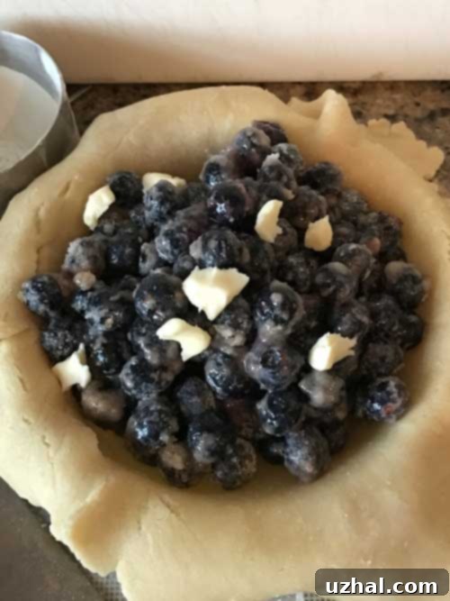 blueberry pie