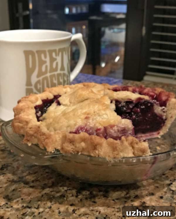 double crust blueberr