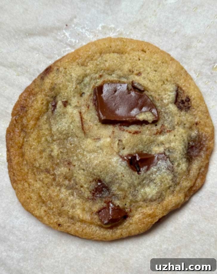 Close-up of thin and chewy vegan chocolate chunk cookies with melted chocolate splotches