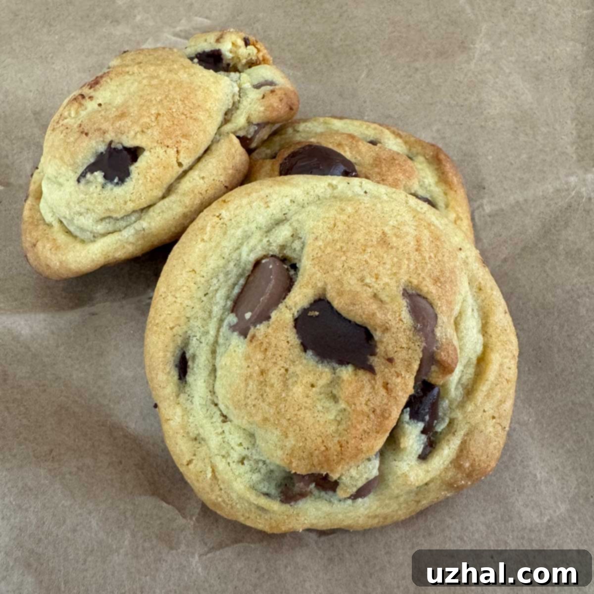 Soft Chocolate Chip Pudding Cookies