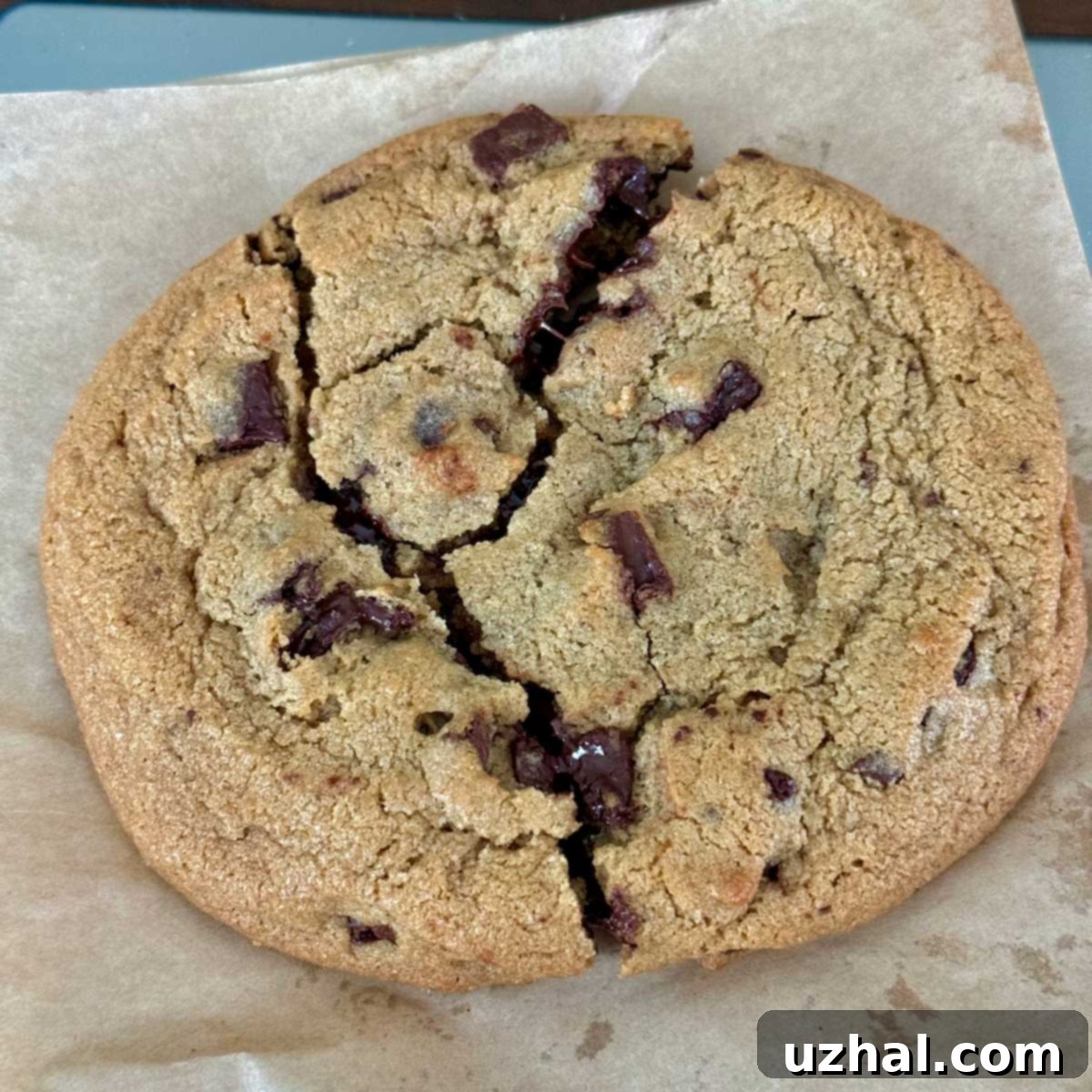 Costco Chocolate Chunk Cookie - an actual food court cookie weighing 165 grams