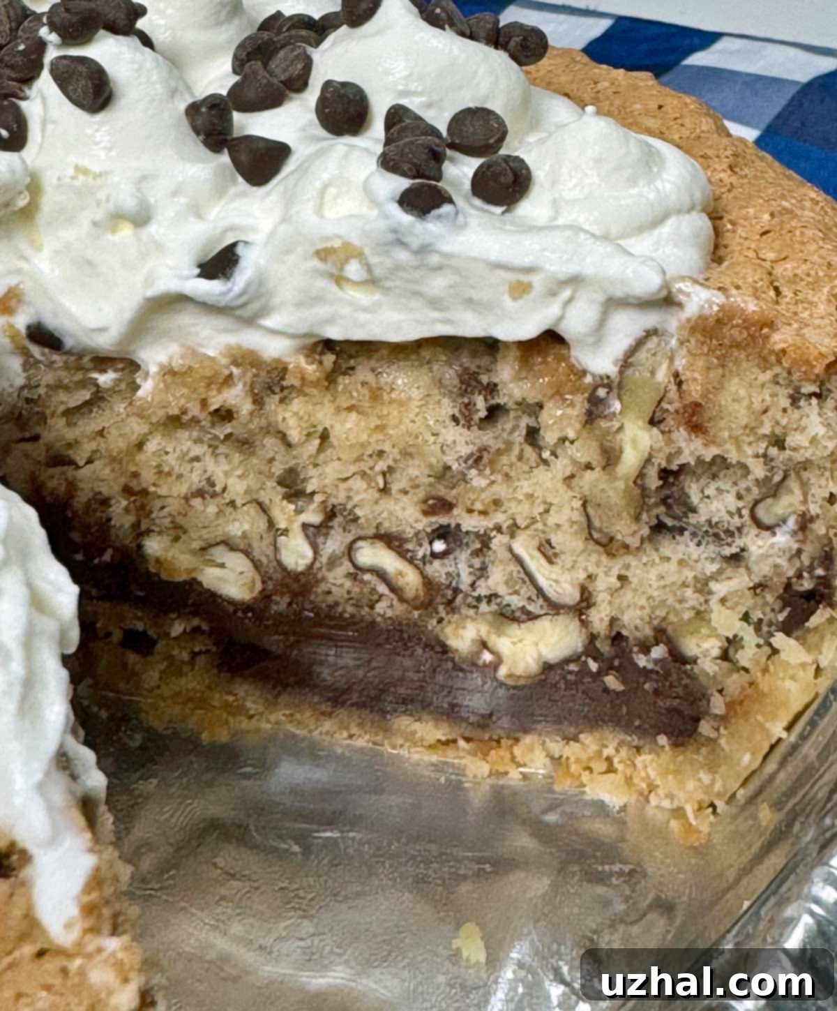 Close-up cross-section of a Butter Pecan Cake Pie revealing the chocolate, moist pecan cake, and fluffy whipped cream layers in vivid detail.