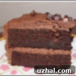 Homemade Chocolate Layer Cake with Fluffy Frosting