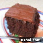 Moist Troy Chocolate Cake Made with Mayonnaise