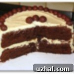 Unique Double Chocolate Malt Cake Slice with Frosting