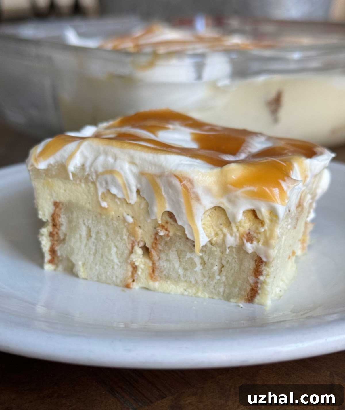 Angel Food Cake Bavarian Cream or Heaven on Earth Cake, garnished with whipped cream and caramel sauce.