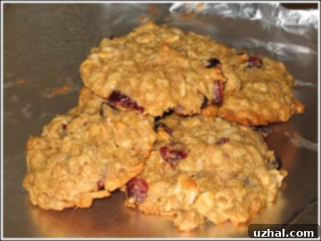 Breakfast cookies with various grains and nuts, perfect for a morning treat