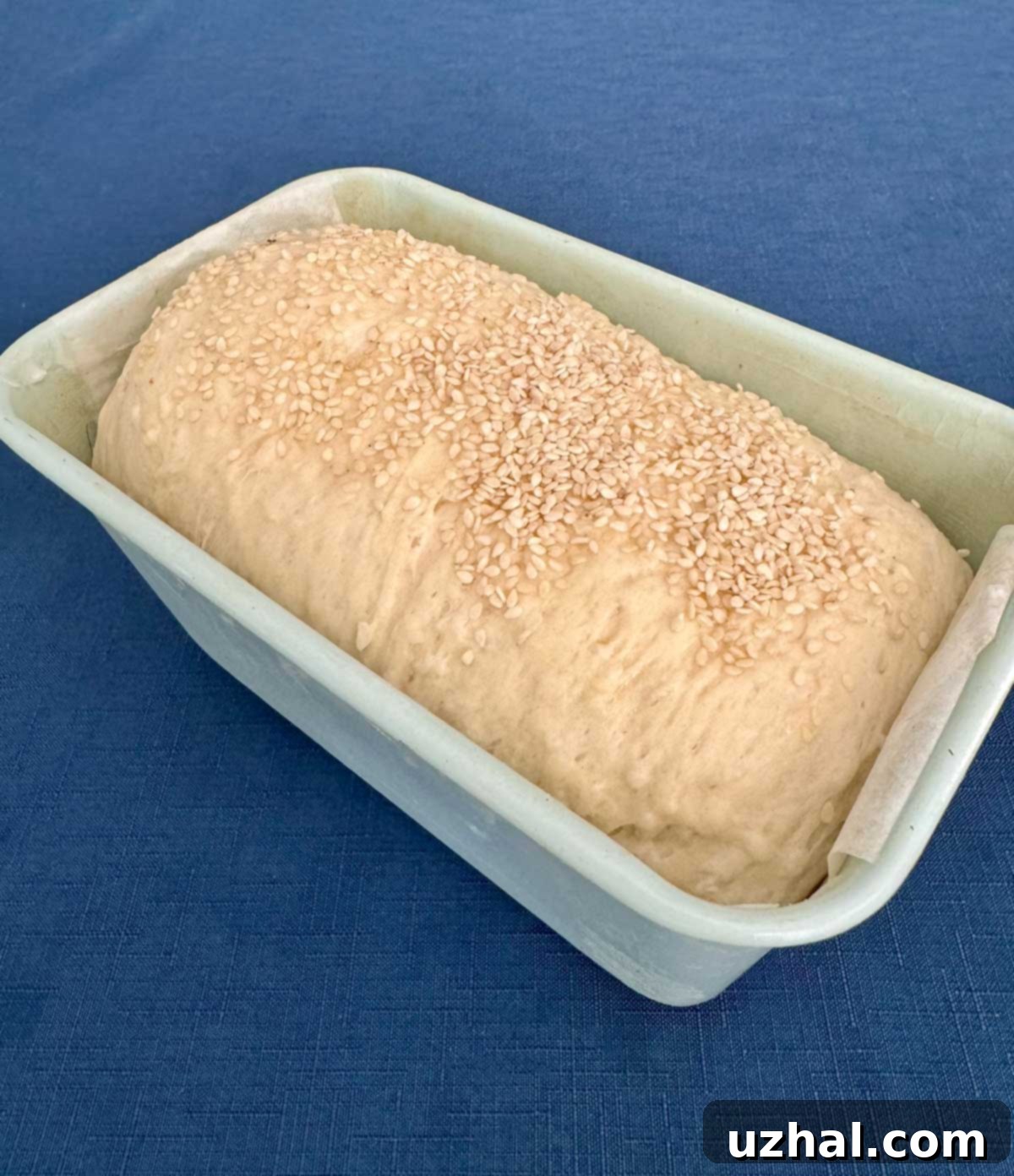 Basmati rice bread dough rising beautifully in a deep loaf pan, ready for baking