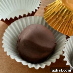 A finished No-Bake Peanut Butter Butterfinger Ball, glistening with chocolate and ready to be enjoyed.