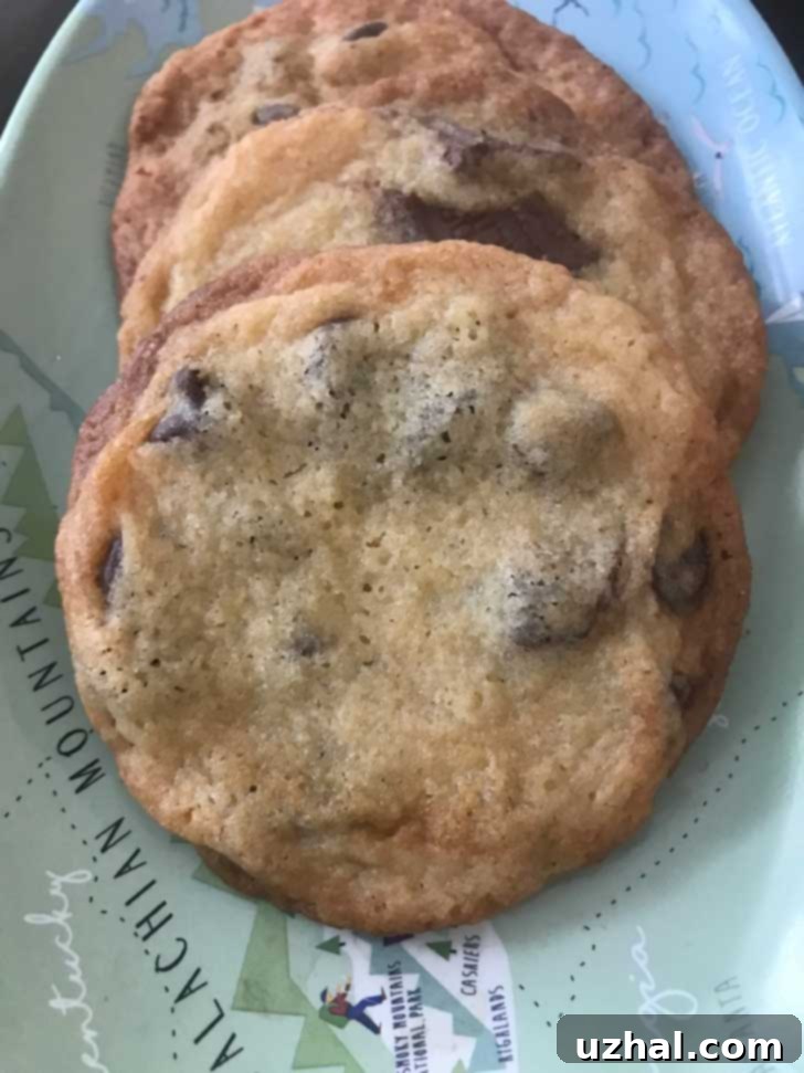 Chocolate Chip Cookies with Self-Rising Flour