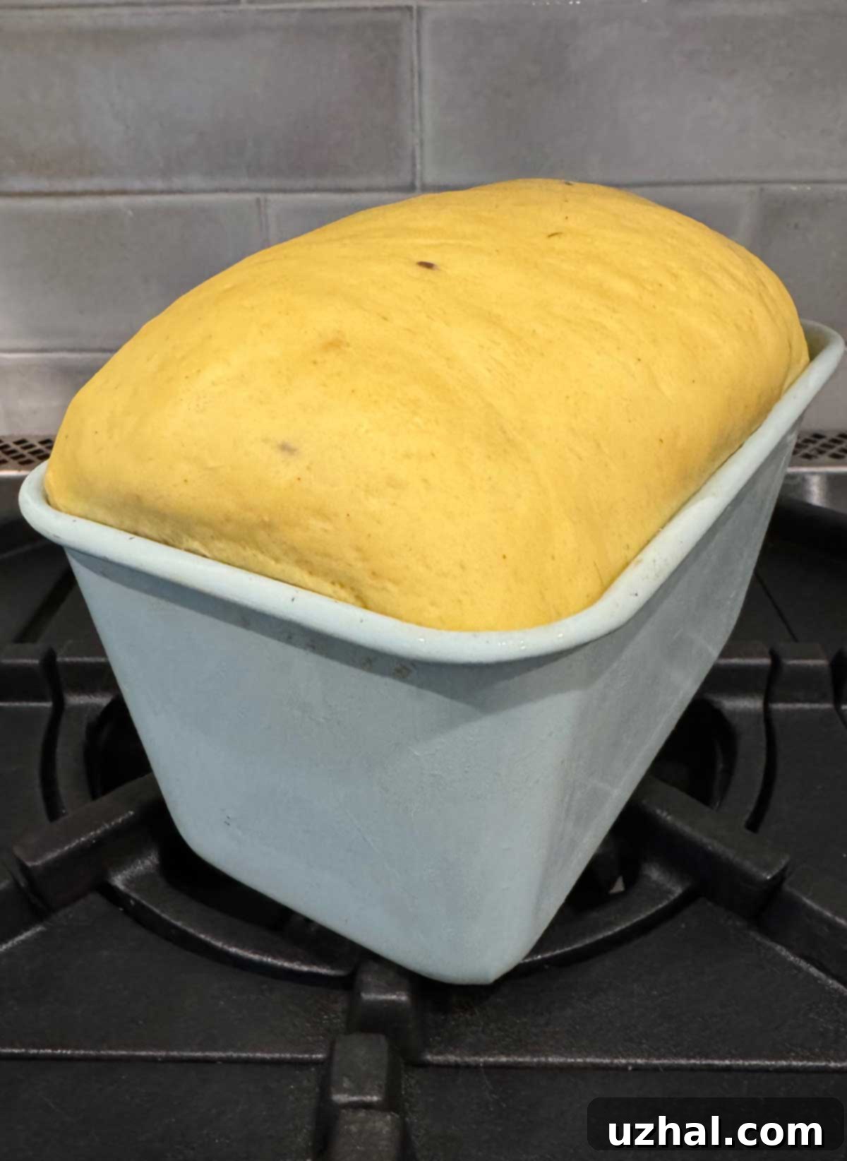 Beautifully risen dal bread dough in a loaf pan, showing cumin seeds