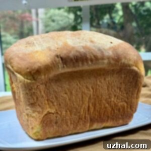 Dal Bread Loaf