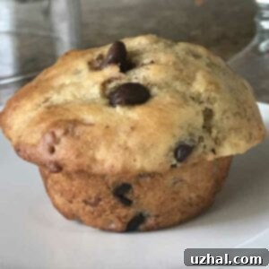 Small Batch Sour Cream Banana Muffins