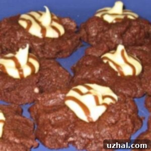 Fiesta Fudge Cookies start with a pouch of Betty Crocker sugar cookie mix