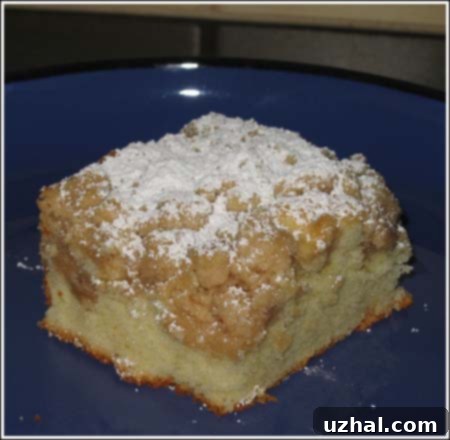 new york crumb cake - a classic American dessert with a generous crumb topping, perfect for breakfast or coffee break