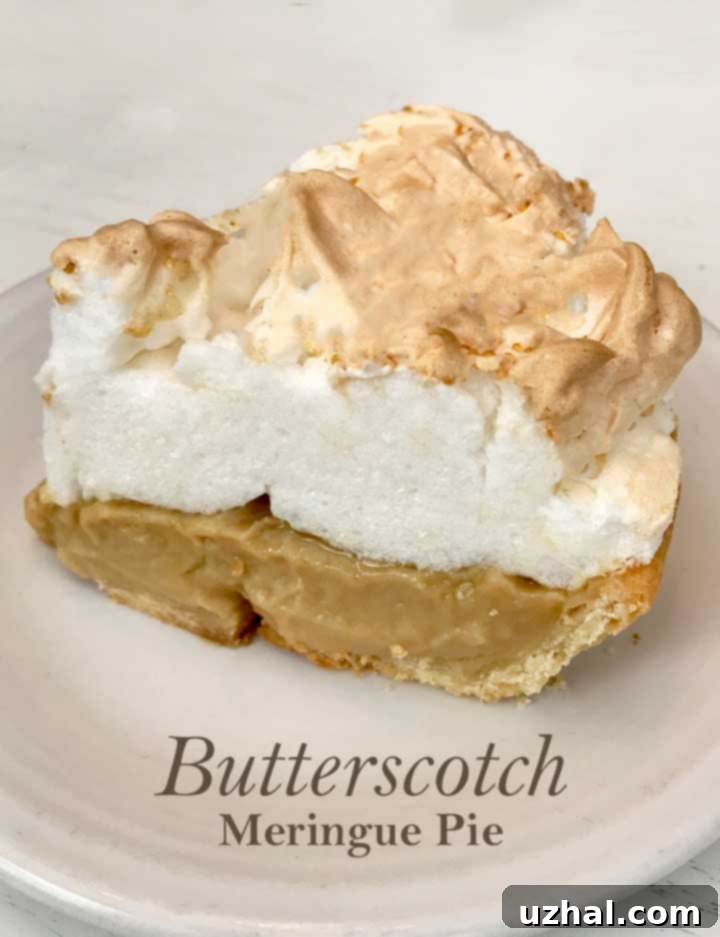Close-up of fluffy Butterscotch Meringue Pie