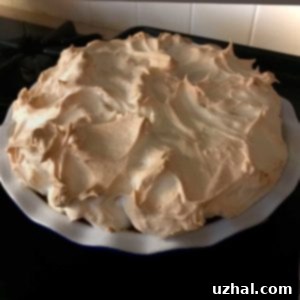 Delicious Butterscotch Meringue Pie