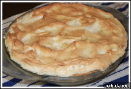 Delicious Butterscotch Pie slice