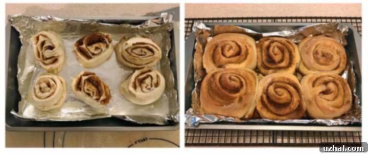 Half batch of cinnamon rolls rising in a pan.