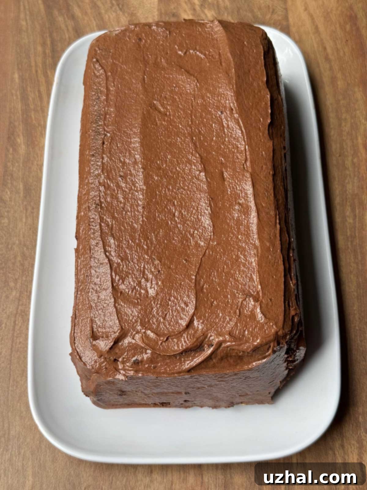 Classic Brownstone Front Cake, a moist rectangular chocolate loaf cake