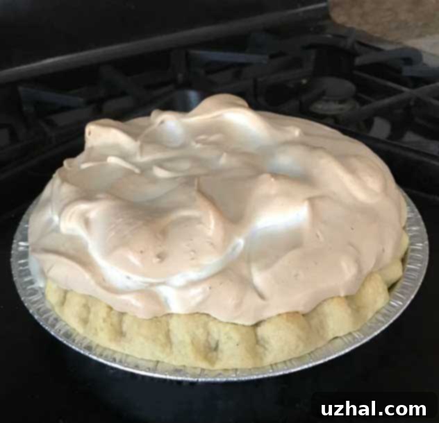 Fool-Proof Lemon Meringue Pie