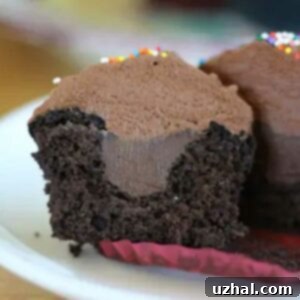 Ultimate Chocolate Cupcakes with Chocolate Buttercream Frosting