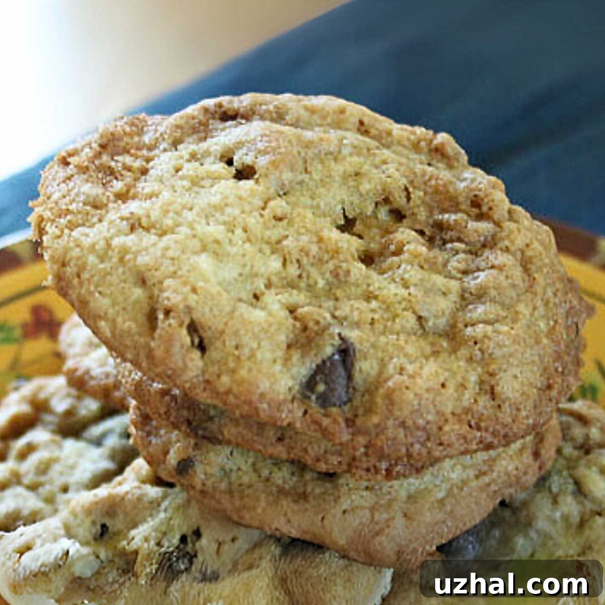 Buttery Granola Chocolate Chip Cookies adapted from Epicurious.
