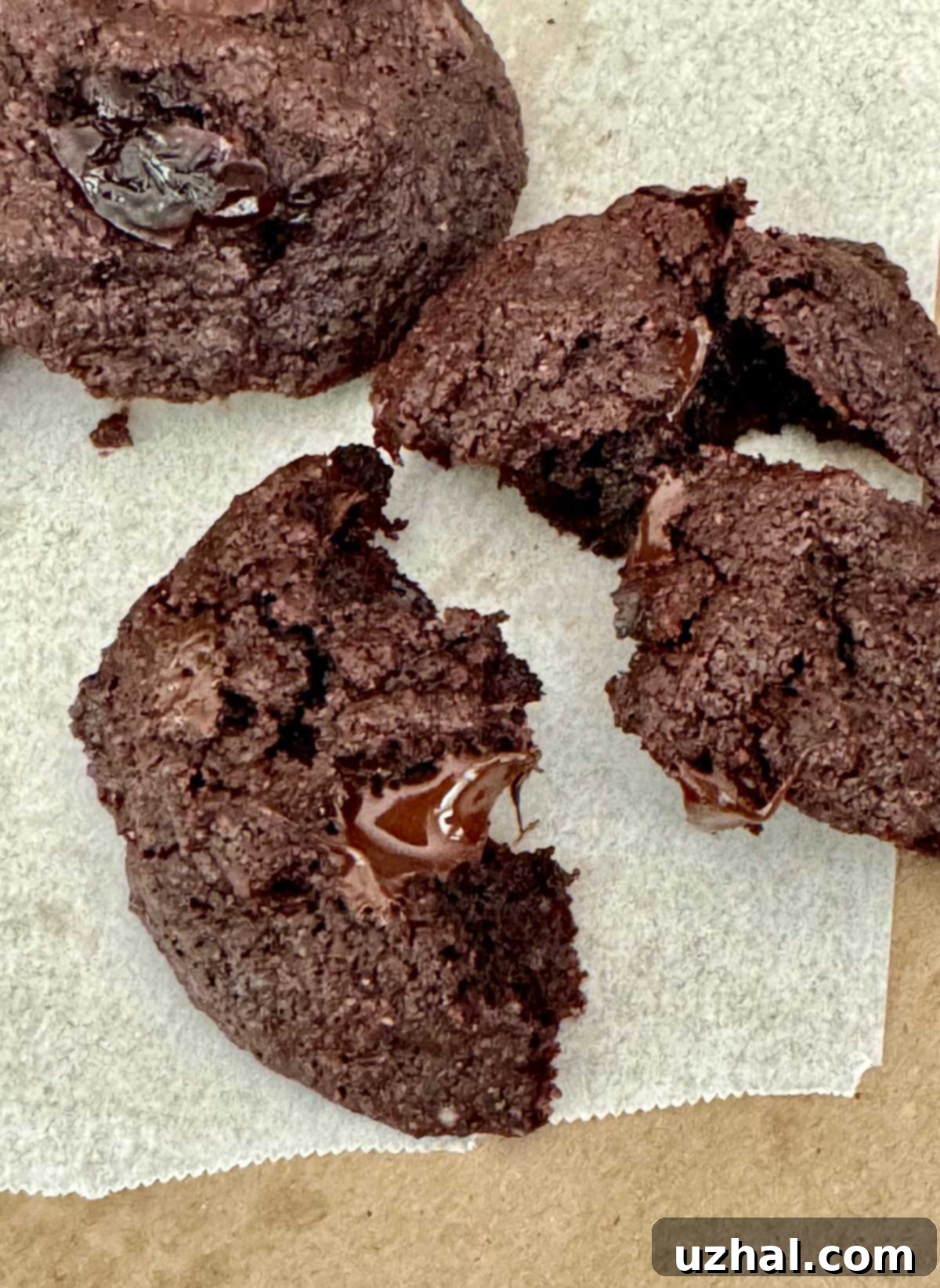 Simple Almond Flour Cocoa Cookies