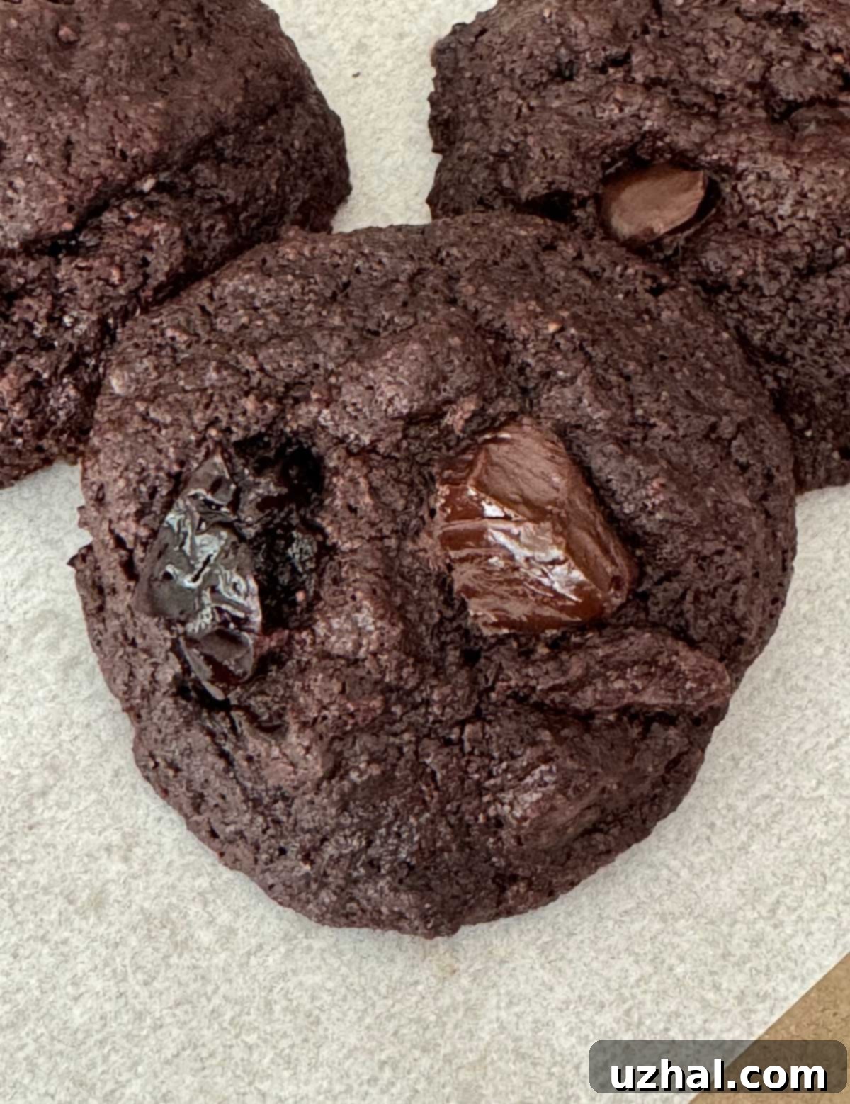 Cocoa Almond Cookies