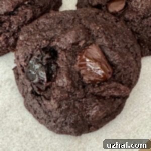 Cocoa Almond Flour Cookies