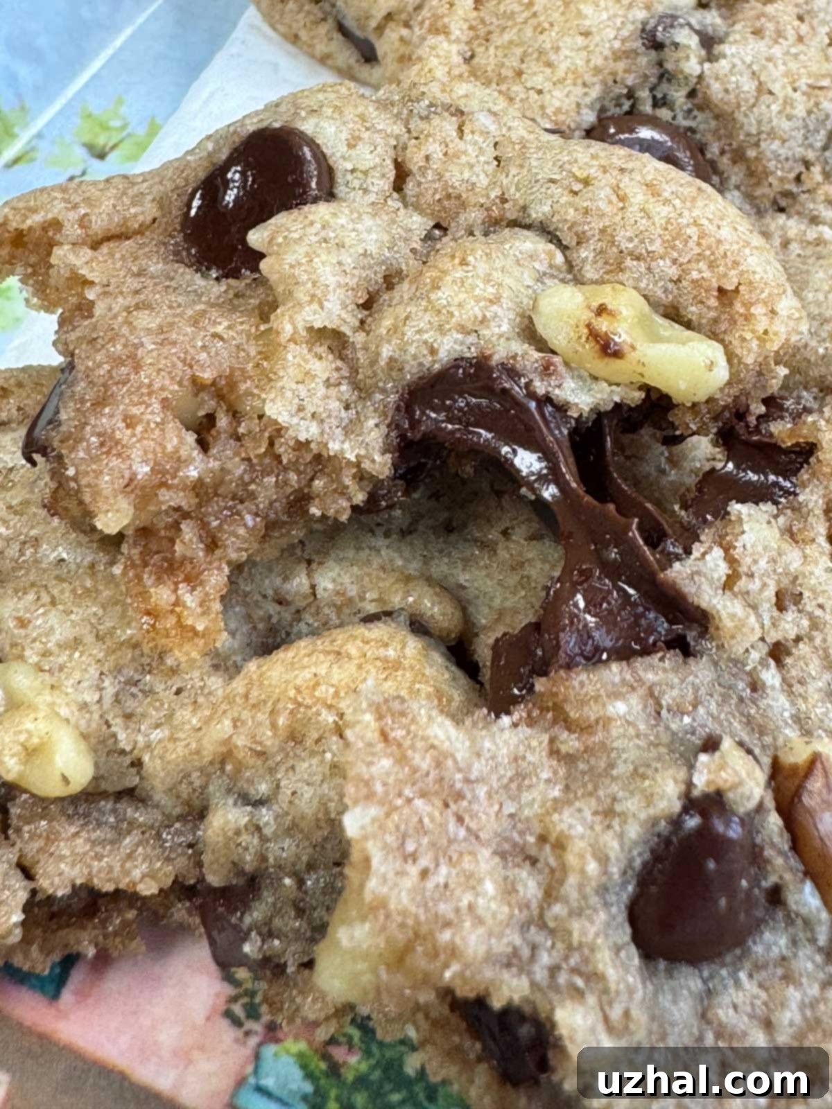 Irresistible Vegan Spelt Chocolate Chip Cookies on a cooling rack