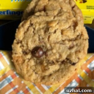 Chewy Peanut Butter Butterfinger Cookies